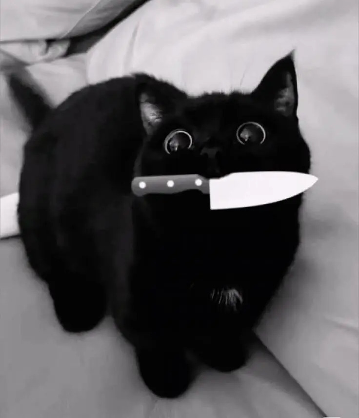 A black cat holding a kitchen knife in its mouth